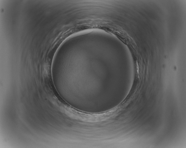 X0000086240035200703291407