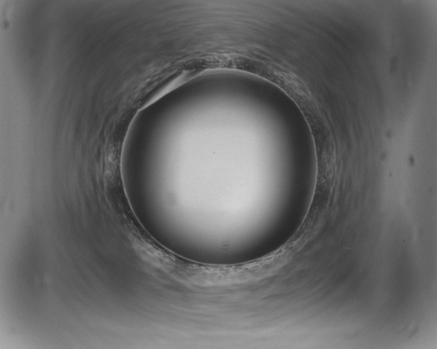 X0000086240037200703291407