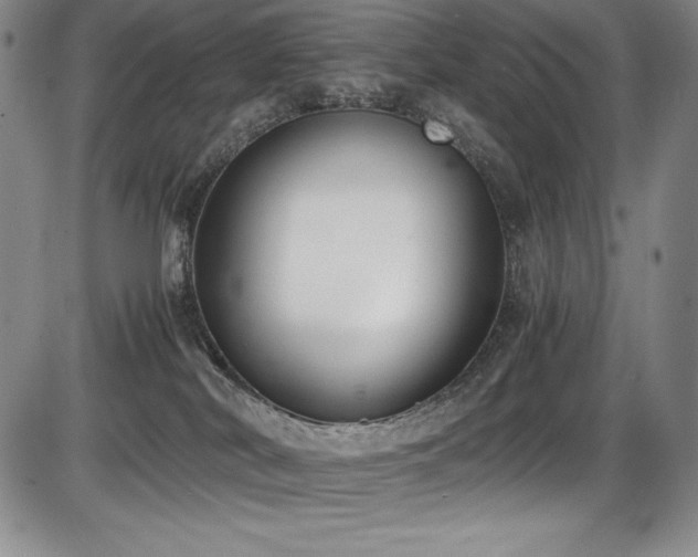 X0000086240038200703291407