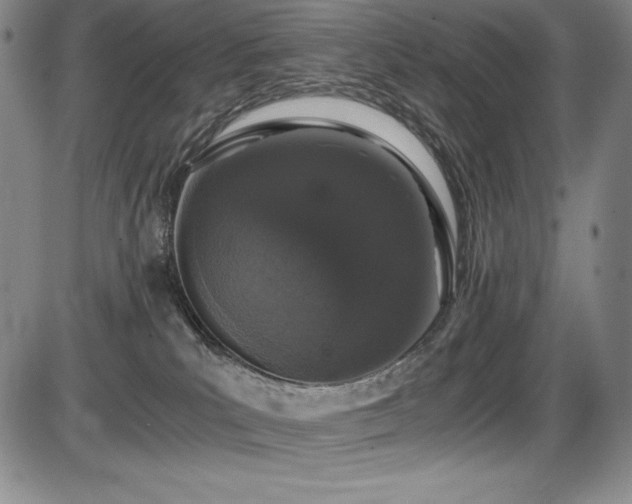 X0000086240039200703291407