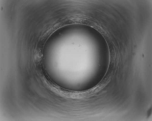 X0000086240040200703291407