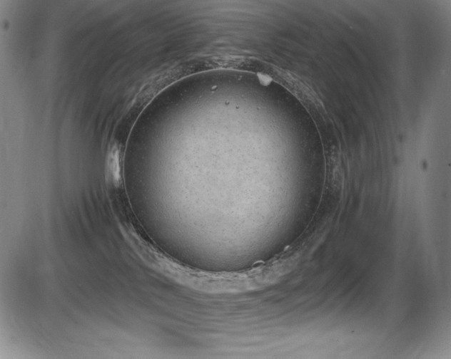 X0000086240042200703291407
