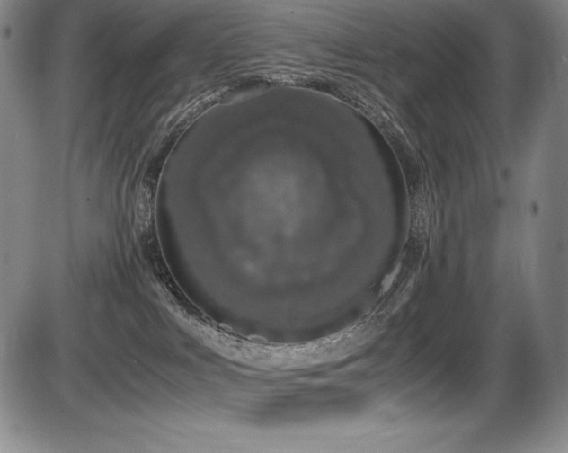 X0000086240043200703291406
