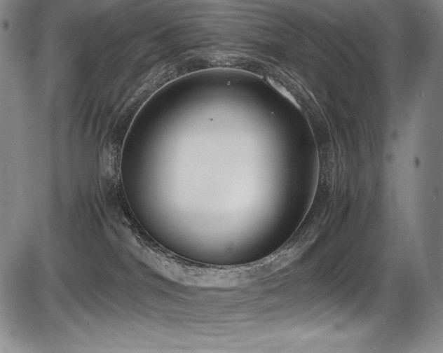 X0000086240044200703291406