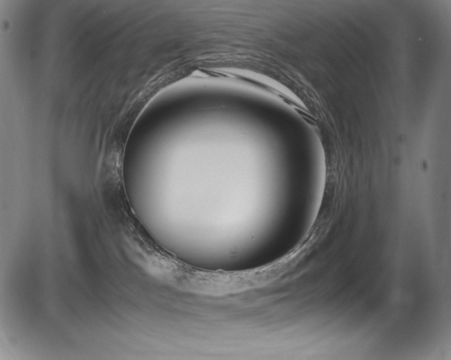 X0000086240045200703291406