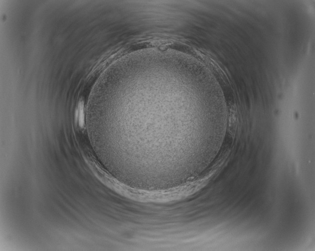 X0000086240046200703291406