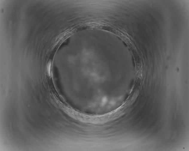 X0000086240047200703291406