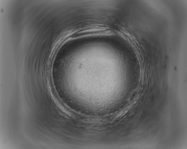 X0000086240049200703291406