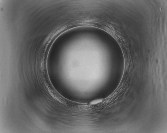 X0000086240050200703291406