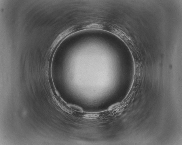 X0000086240051200703291406