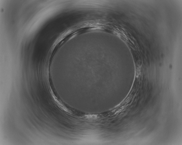 X0000086240052200703291406