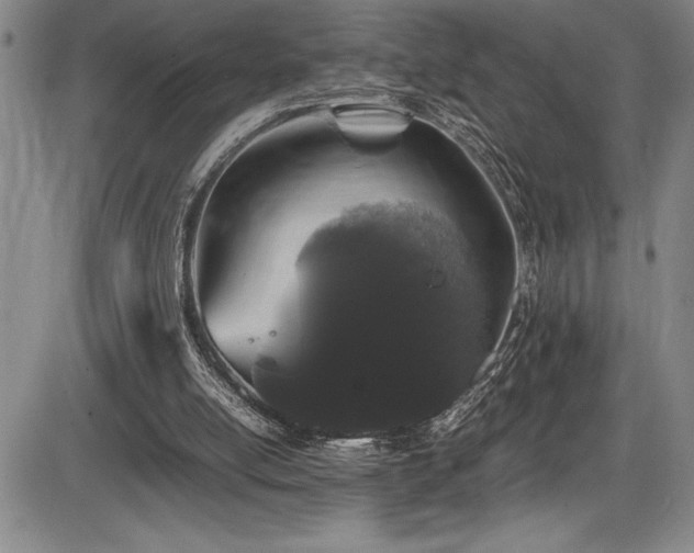 X0000086240054200703291406