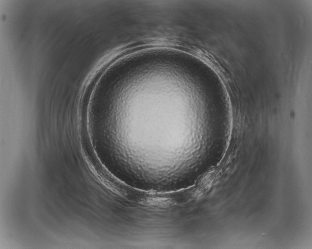 X0000086240055200703291406