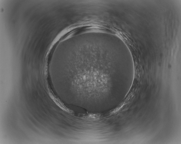 X0000086240056200703291406