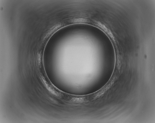 X0000086240057200703291406