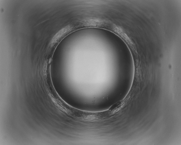 X0000086240058200703291406