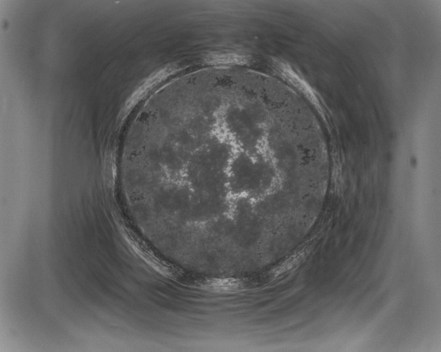 X0000086240059200703291406