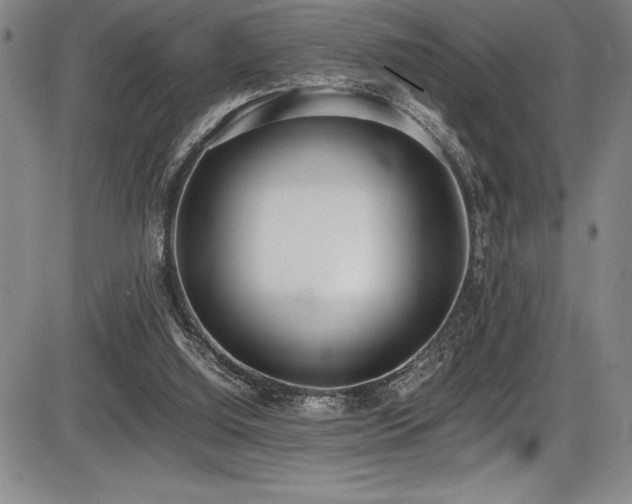 X0000086240060200703291406