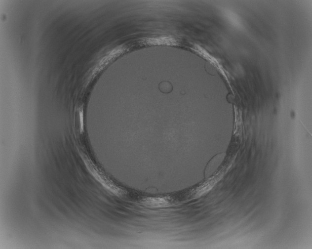 X0000086240061200703291406