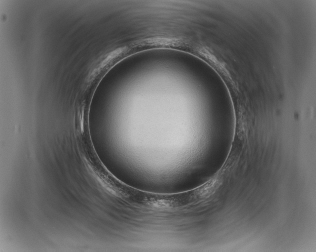 X0000086240062200703291406