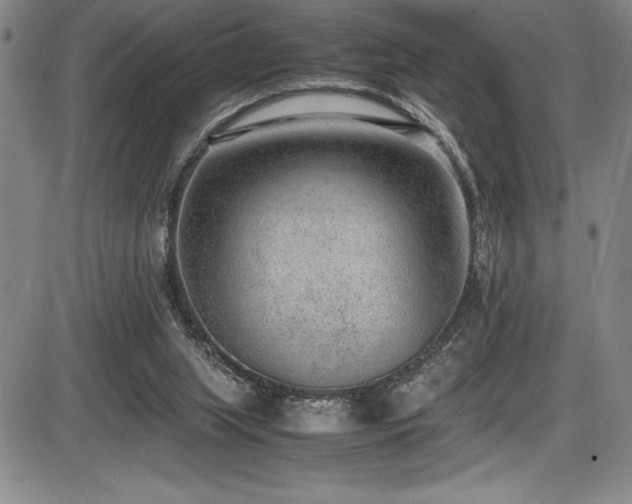X0000086240063200703291406
