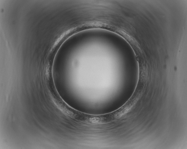 X0000086240064200703291406
