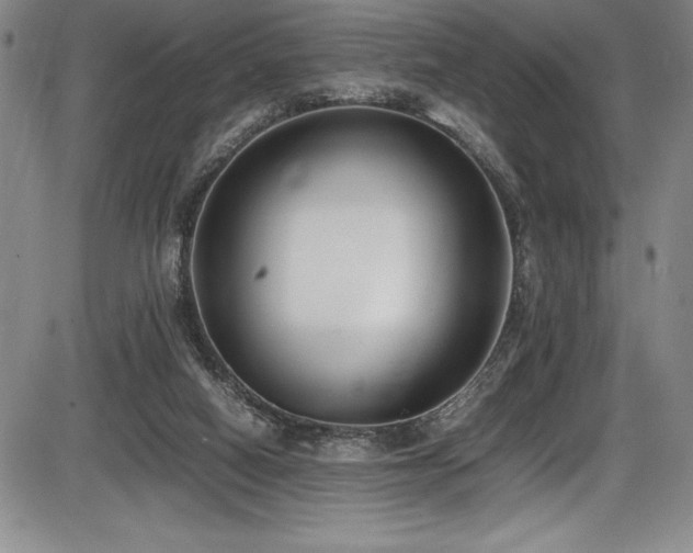 X0000086240066200703291406