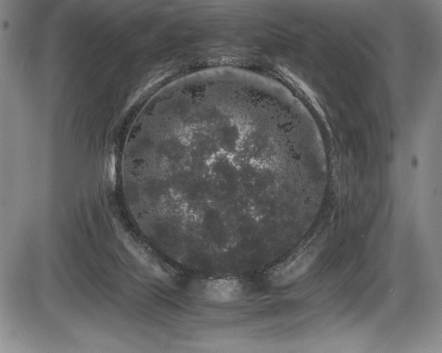 X0000086240067200703291406