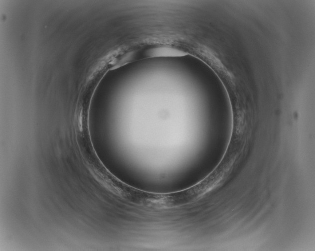 X0000086240068200703291406