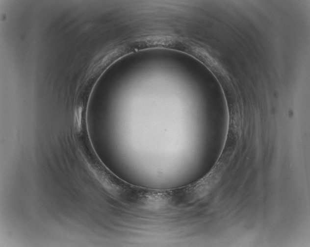 X0000086240070200703291406