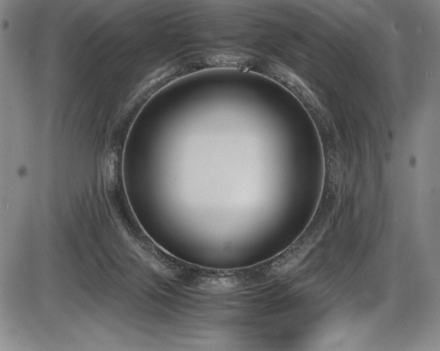X0000086240071200703291406