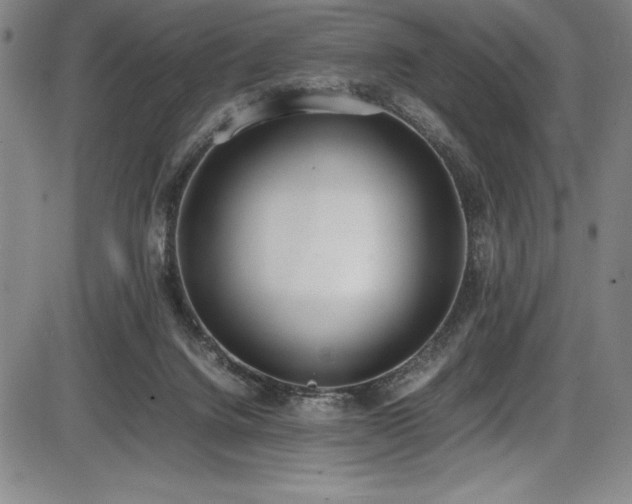 X0000086240072200703291406