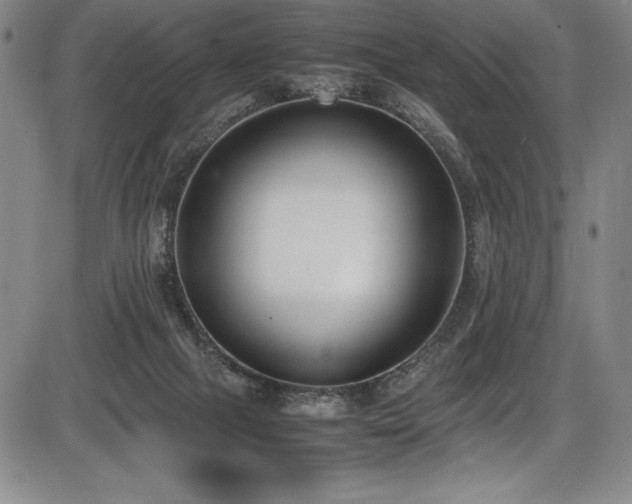 X0000086240073200703291406