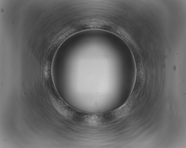 X0000086240074200703291406