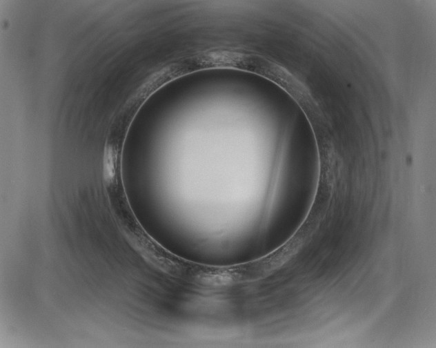 X0000086240075200703291406