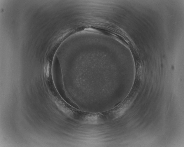 X0000086240076200703291406