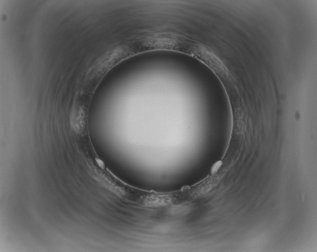 X0000086240077200703291406