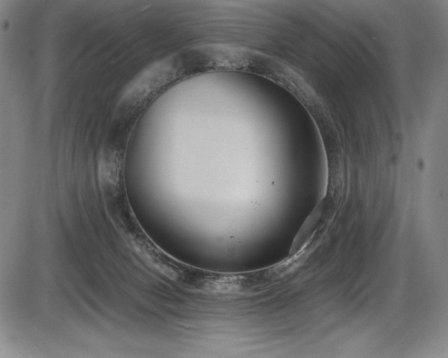 X0000086240078200703291406