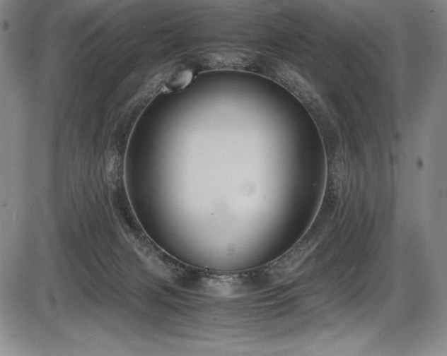 X0000086240079200703291406