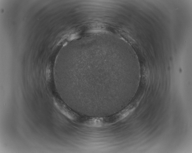 X0000086240080200703291406