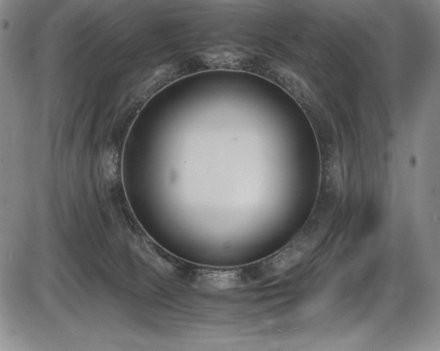 X0000086240081200703291406