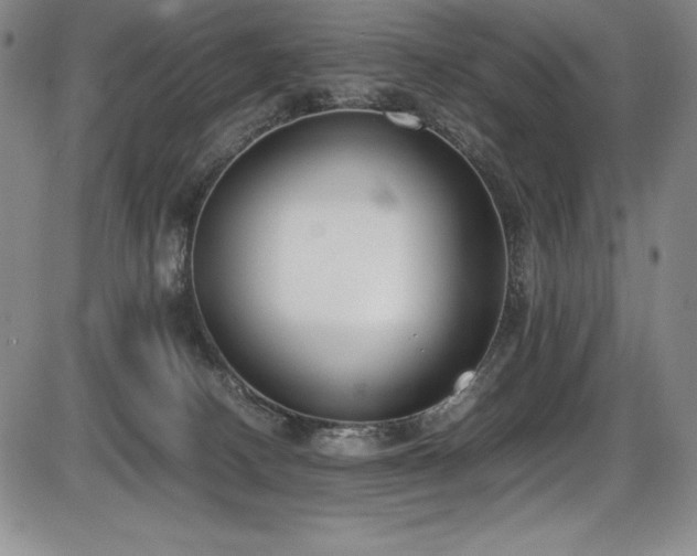 X0000086240082200703291406