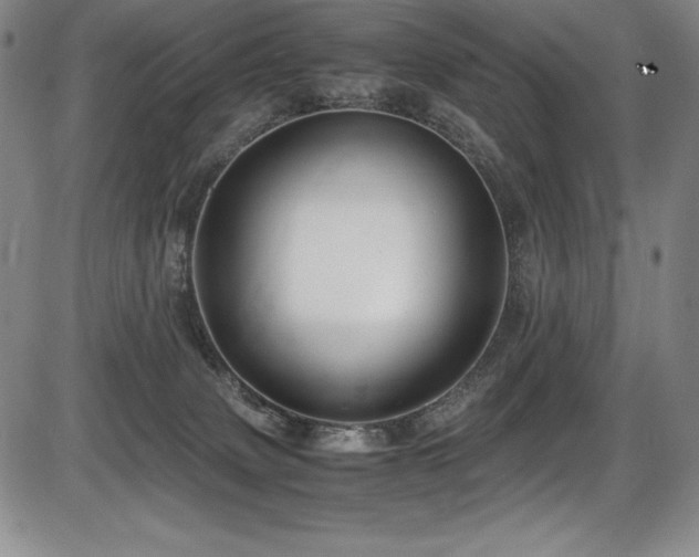 X0000086240083200703291406