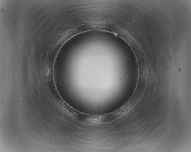 X0000086240084200703291406