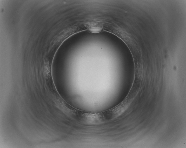 X0000086240085200703291406