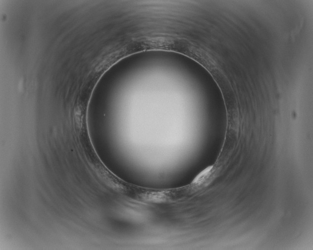 X0000086240086200703291406