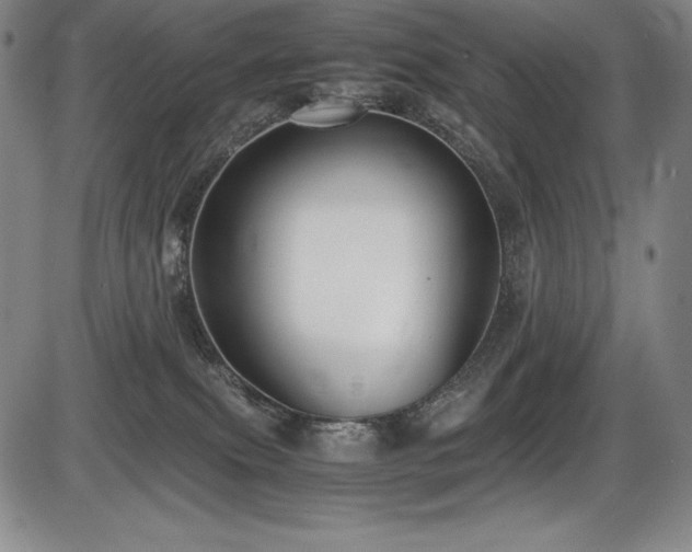 X0000086240087200703291406