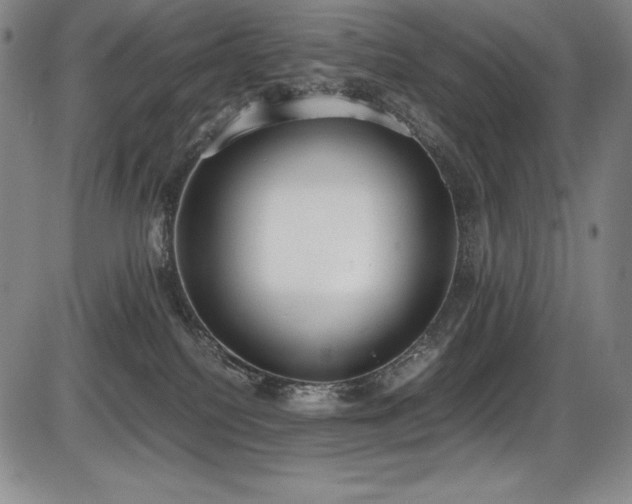 X0000086240088200703291406