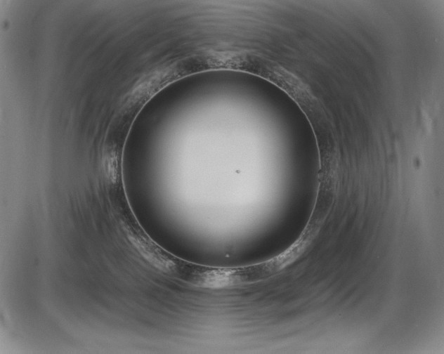 X0000086240090200703291406