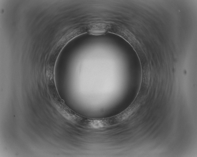 X0000086240091200703291406